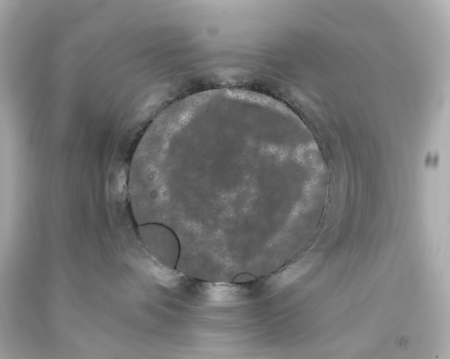 X0000093580336200711051123