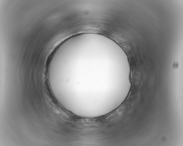 X0000093580338200711051122