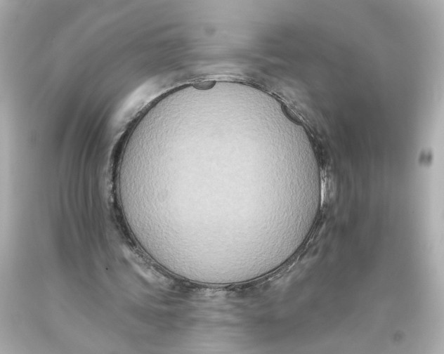 X0000093580339200711051122