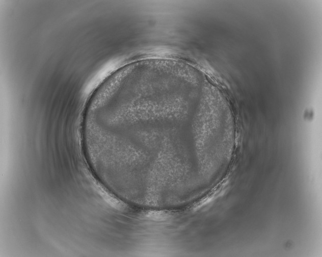 X0000093580341200711051122