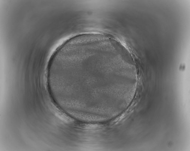 X0000093580342200711051122