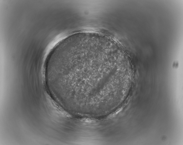 X0000093580343200711051122