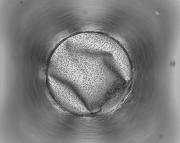 X0000093580345200711051122