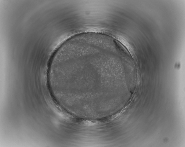 X0000093580346200711051122