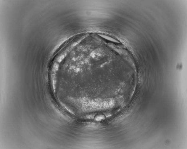 X0000093580347200711051122