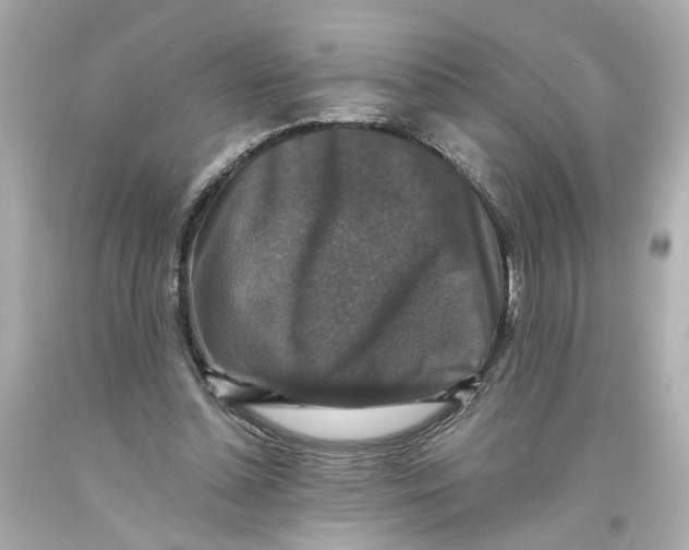 X0000093580348200711051122