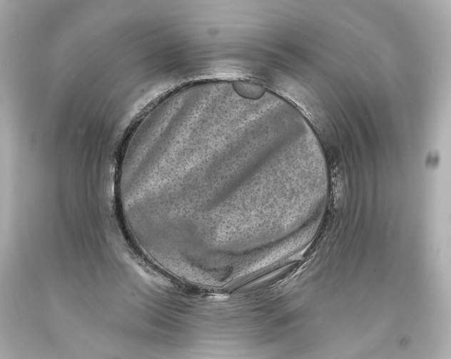 X0000093580350200711051122