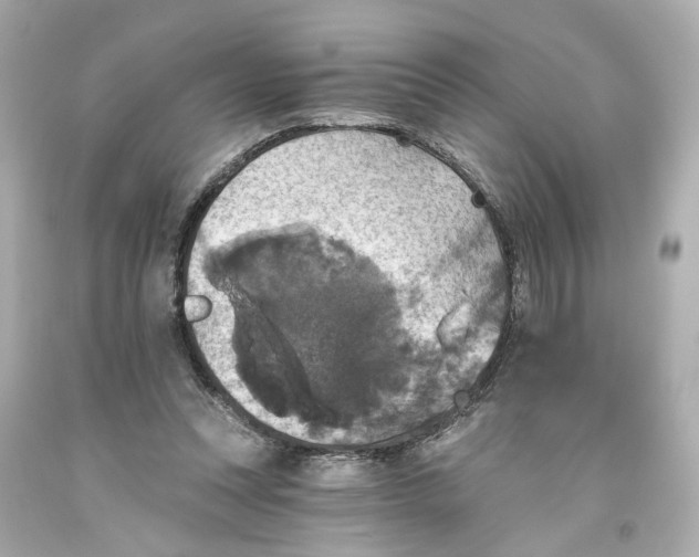 X0000093580351200711051122