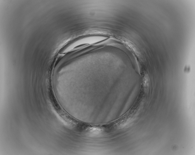 X0000093580352200711051122