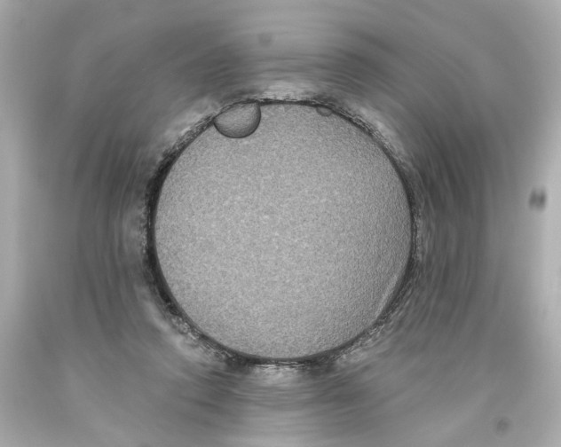 X0000093580354200711051122