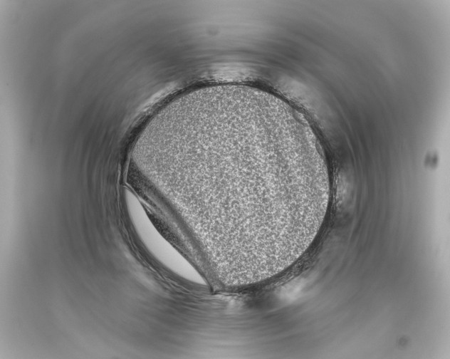 X0000093580356200711051122