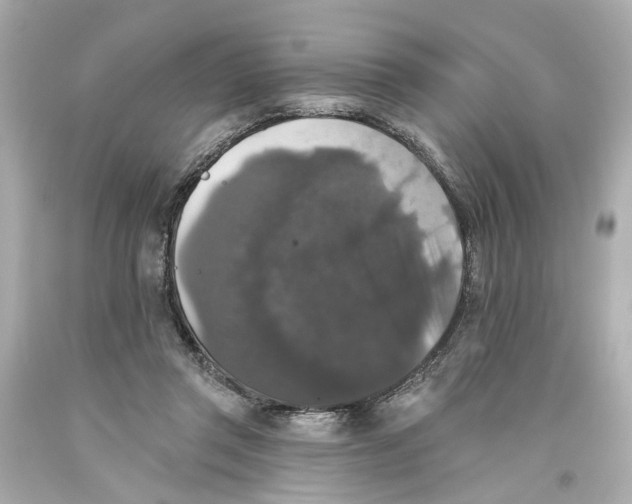 X0000093580357200711051122