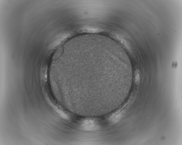 X0000093580358200711051122