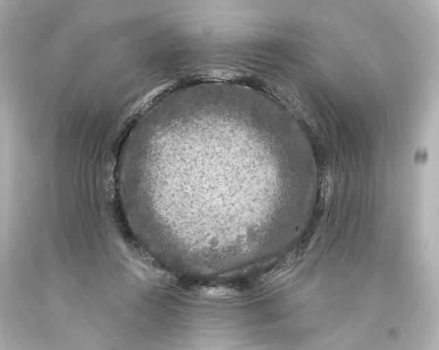 X0000093580360200711051122