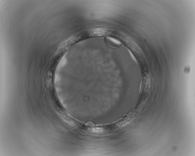 X0000093580361200711051122