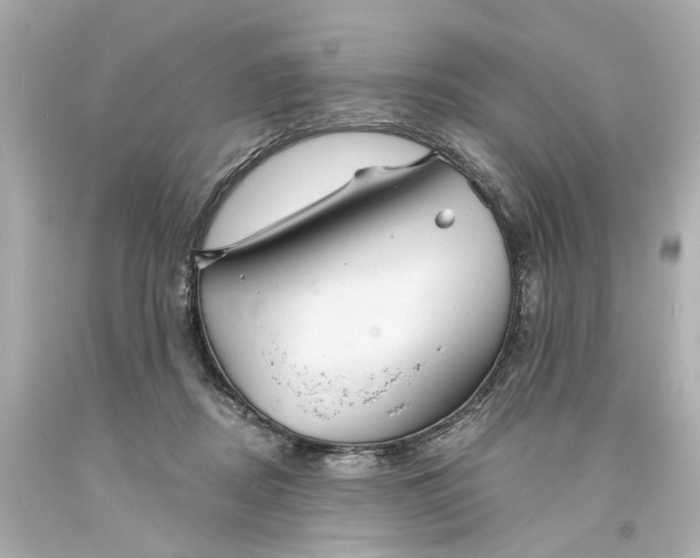 X0000093580362200711051122