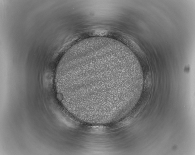 X0000093580363200711051122