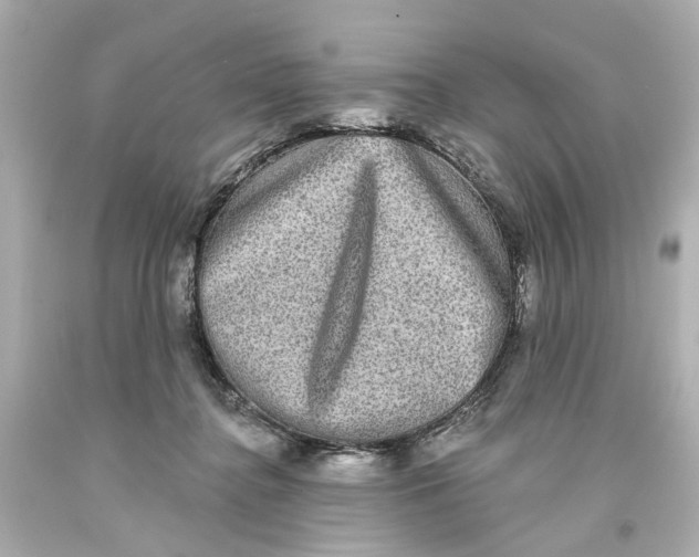 X0000093580364200711051122