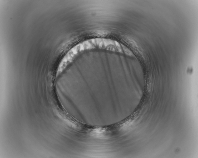 X0000093580366200711051122