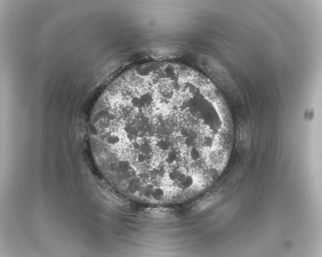 X0000093580367200711051122