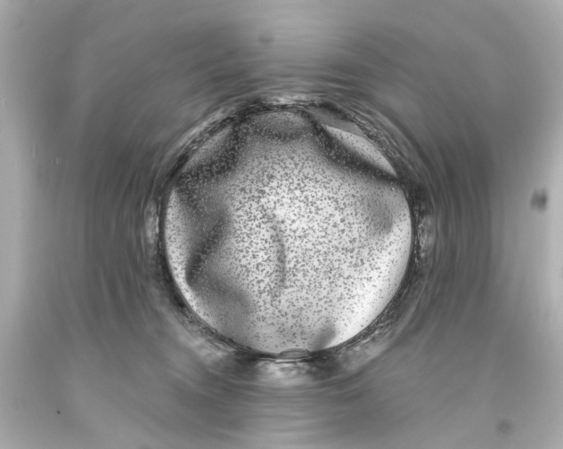 X0000093580372200711051122