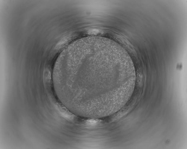 X0000093580375200711051122