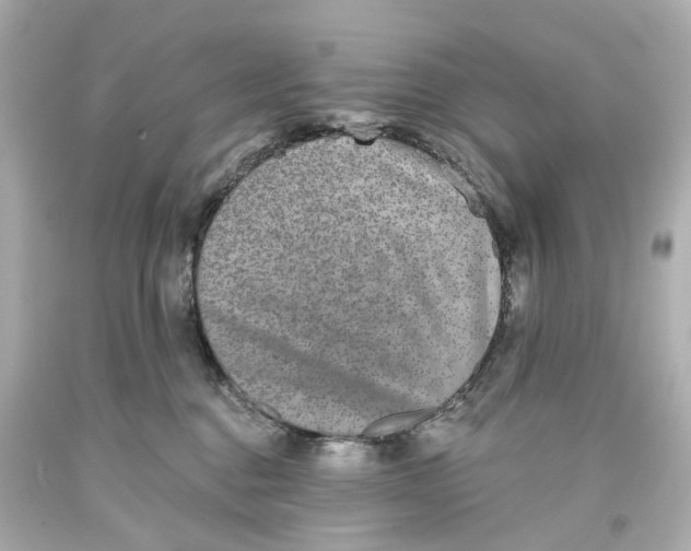 X0000093580376200711051122