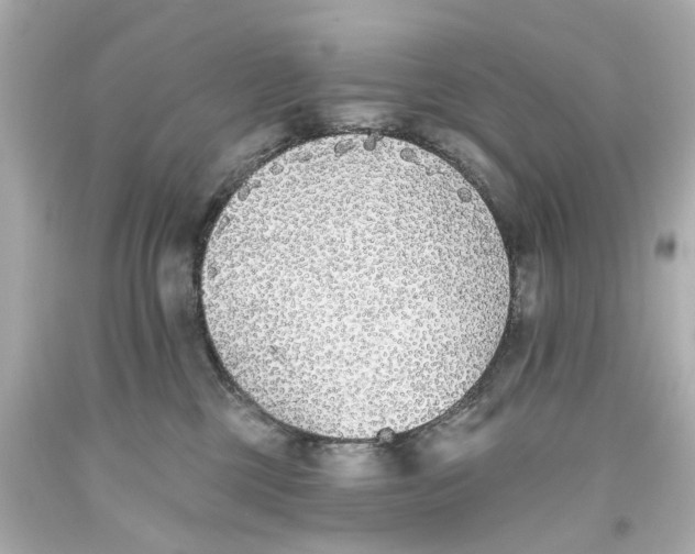 X0000093580377200711051122