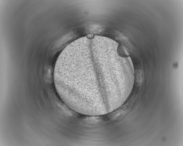 X0000093580378200711051122