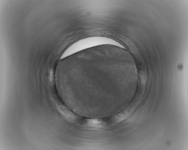 X0000093580380200711051122