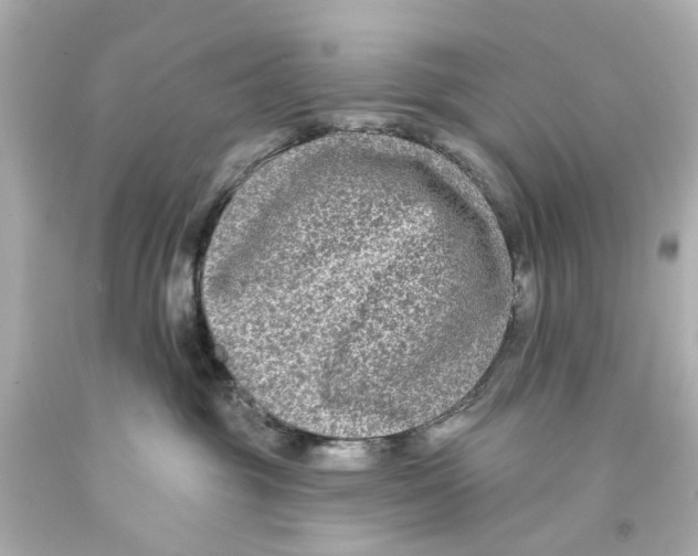 X0000093580381200711051122