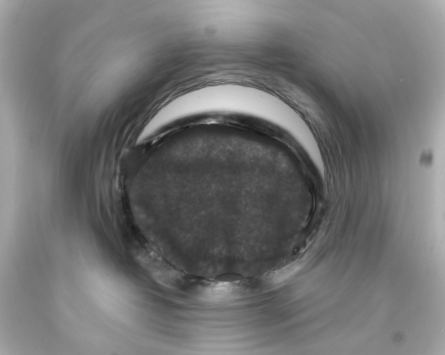 X0000093580382200711051123