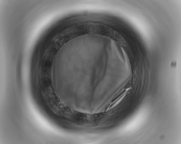 X0000093580383200711051123