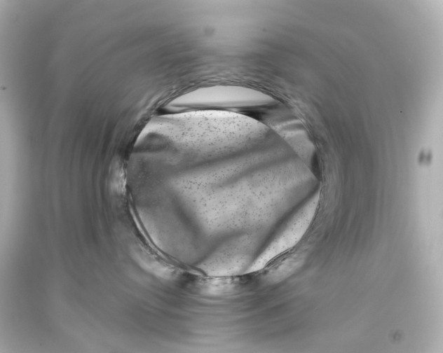 X0000093580384200711051123