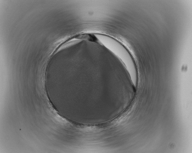 X0000093580385200711051122