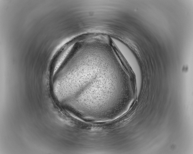 X0000093580388200711051122