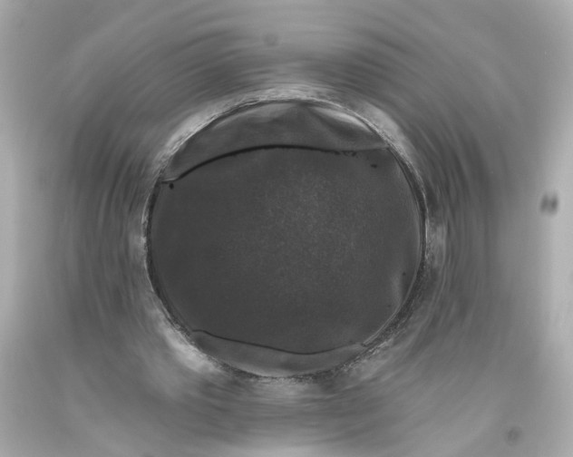 X0000093580389200711051122