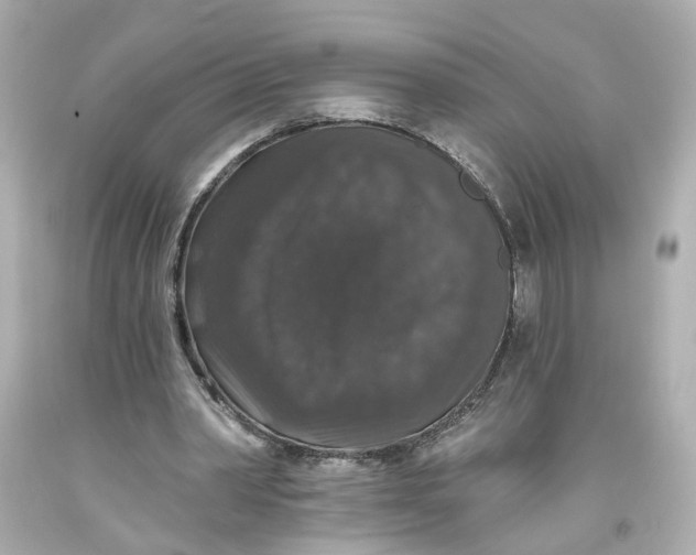 X0000093580390200711051122