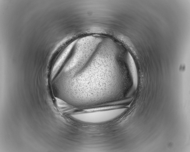 X0000093580395200711051122