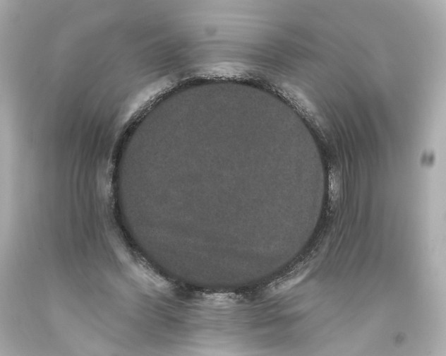 X0000093580396200711051122