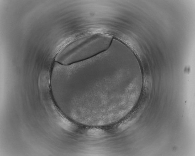 X0000093580397200711051122