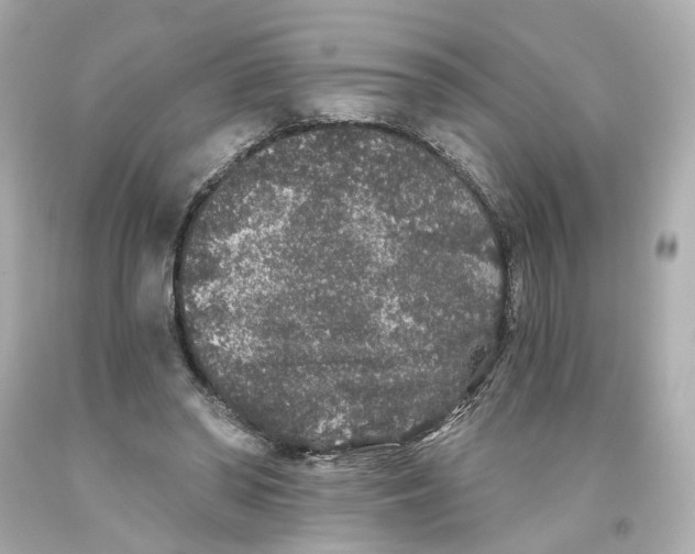 X0000093580398200711051122