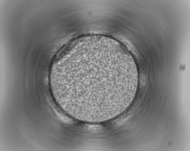 X0000093580401200711051122