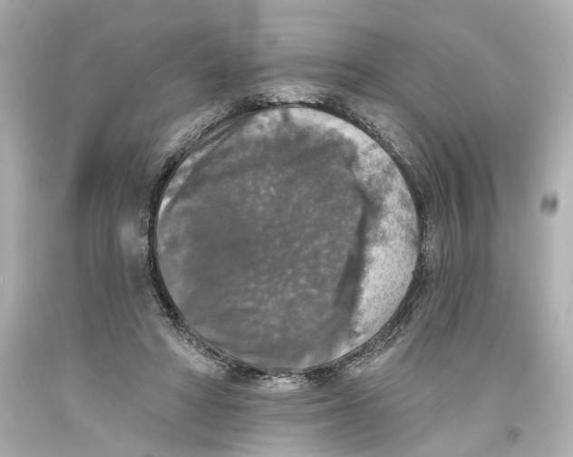 X0000093580402200711051122