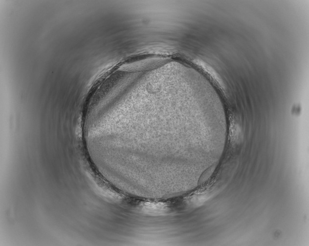 X0000093580403200711051122