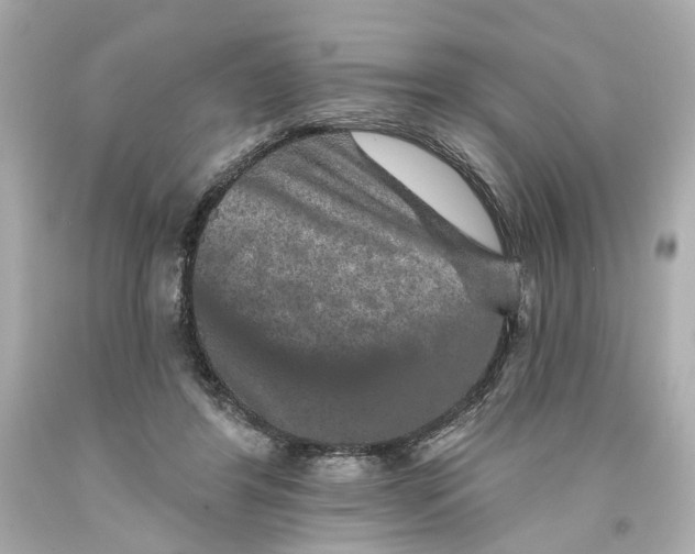 X0000093580404200711051122