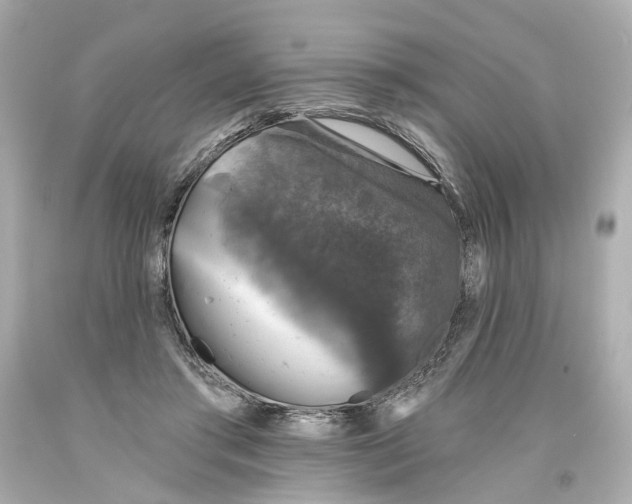 X0000093580405200711051122