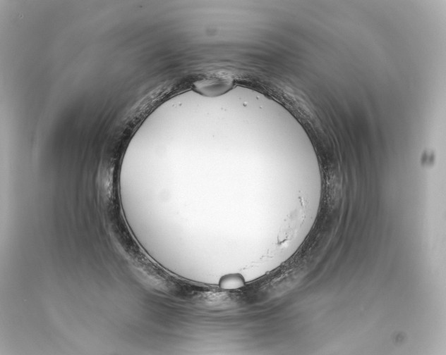 X0000093580406200711051121