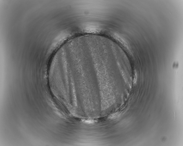 X0000093580407200711051121