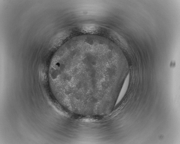 X0000093580408200711051121